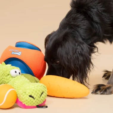 The Ultimate Guide to Pet Toys: Keeping Your Furry Friends Happy and Healthy